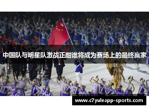 中国队与明星队激战正酣谁将成为赛场上的最终赢家